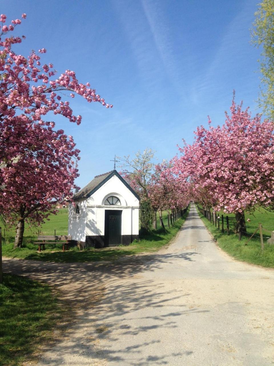 B&B Baron'S House Neerijse-Leuven Екстериор снимка